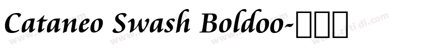 Cataneo Swash Bold00字体转换 Cataneo Swash Bold00字体转换